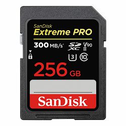 SanDisk Memorijska kartica SDSDXDK-256G-GN4IN Extreme Pro SDHC 256GB  R300MB/s  W260MB/s  Class 10 V90 UHS-II U3